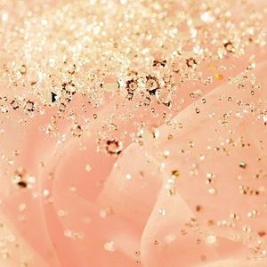 Meet your Posher, Ava